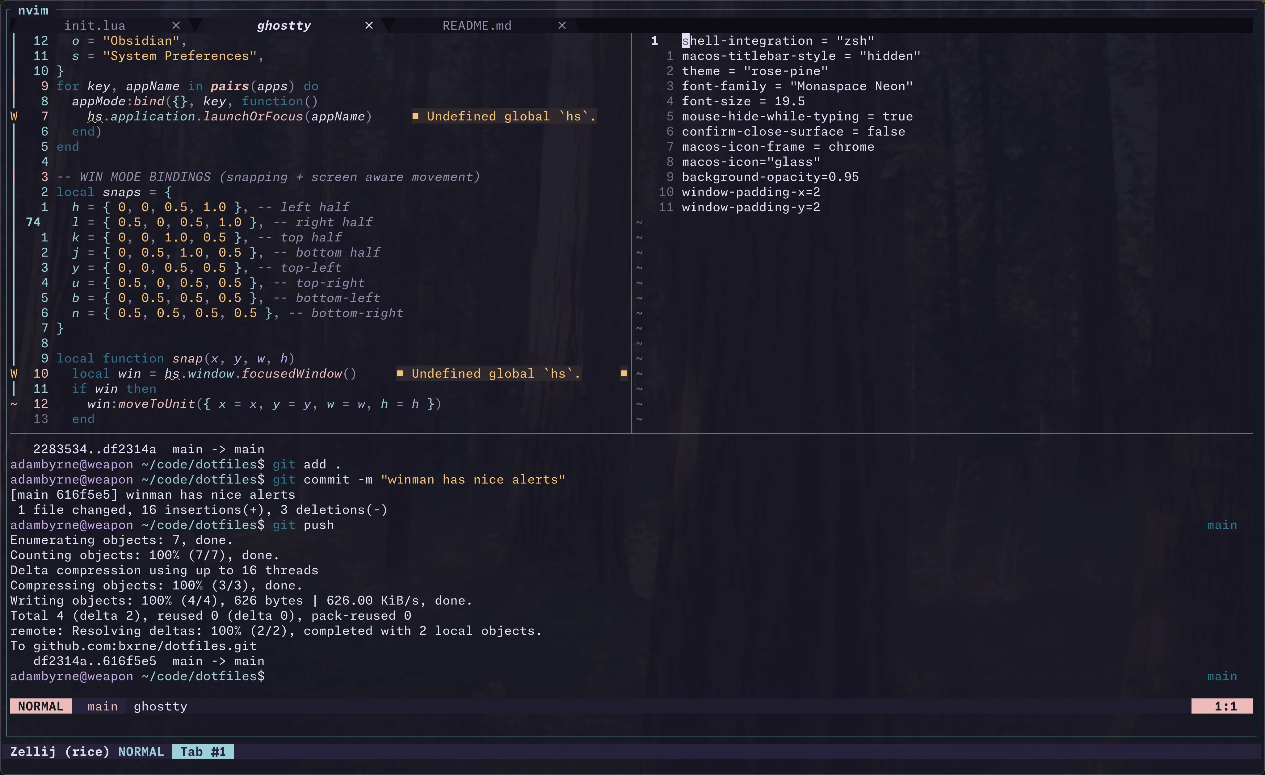 dev setup